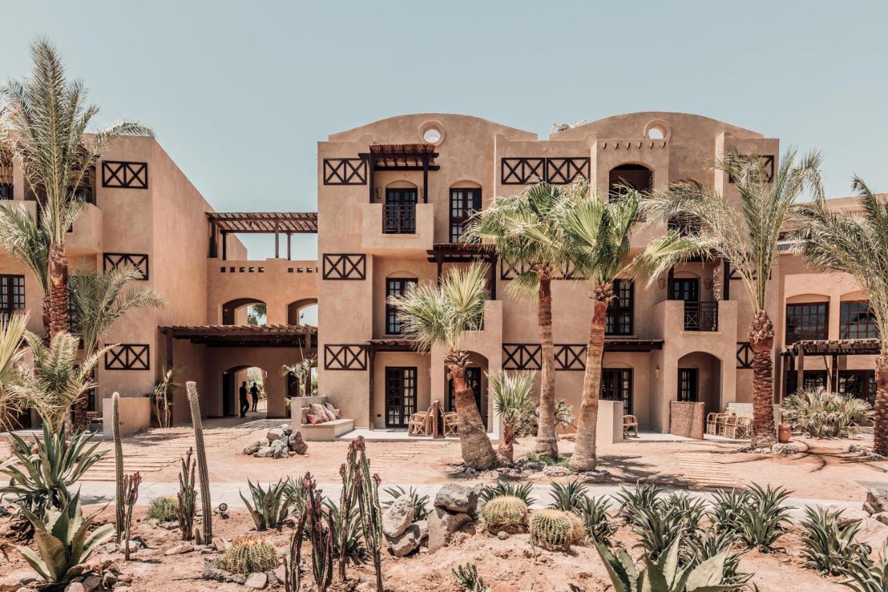 Cook'S Club El Gouna (Adults Only) Hurghada Exteriör bild